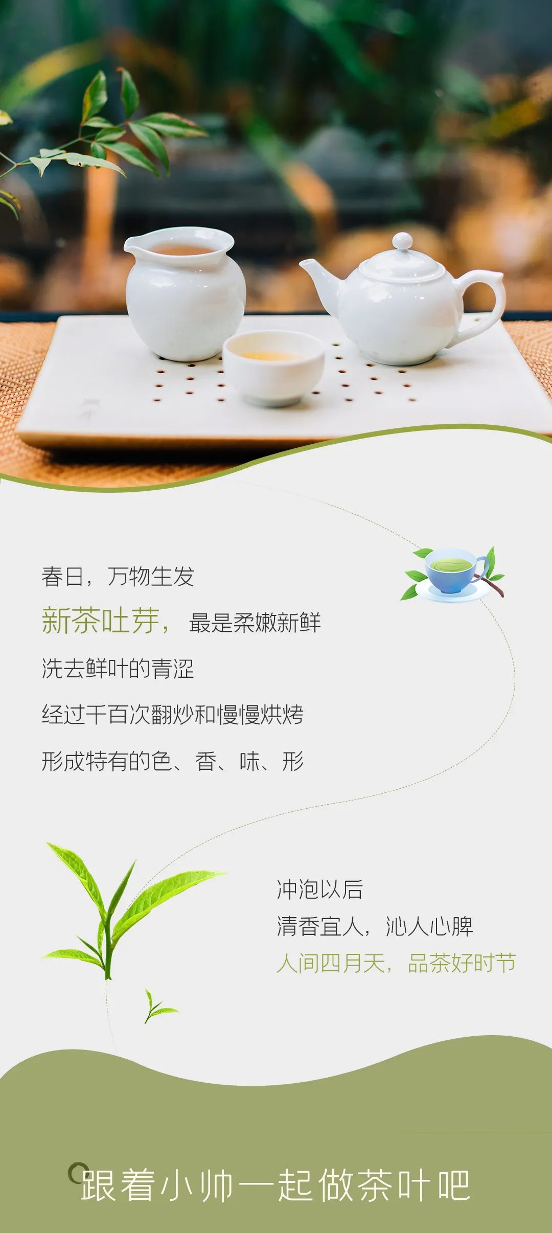 四食丰语|万八千的春茶，自己在家就能做