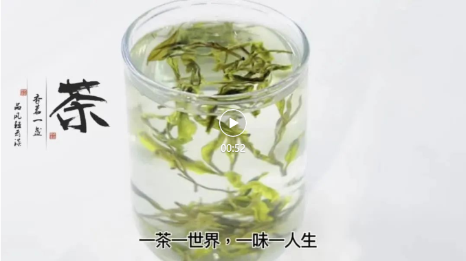 四食丰语|万八千的春茶，自己在家就能做