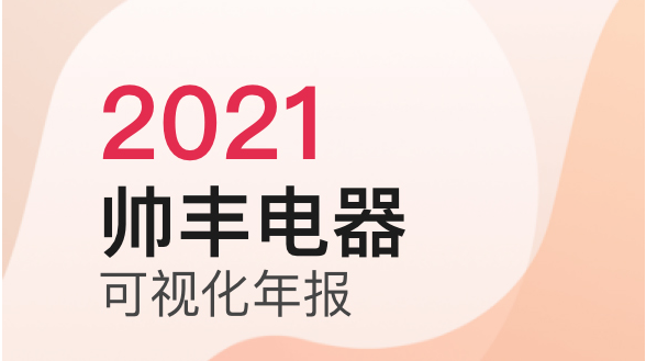 2021年帅丰电器可视化年报