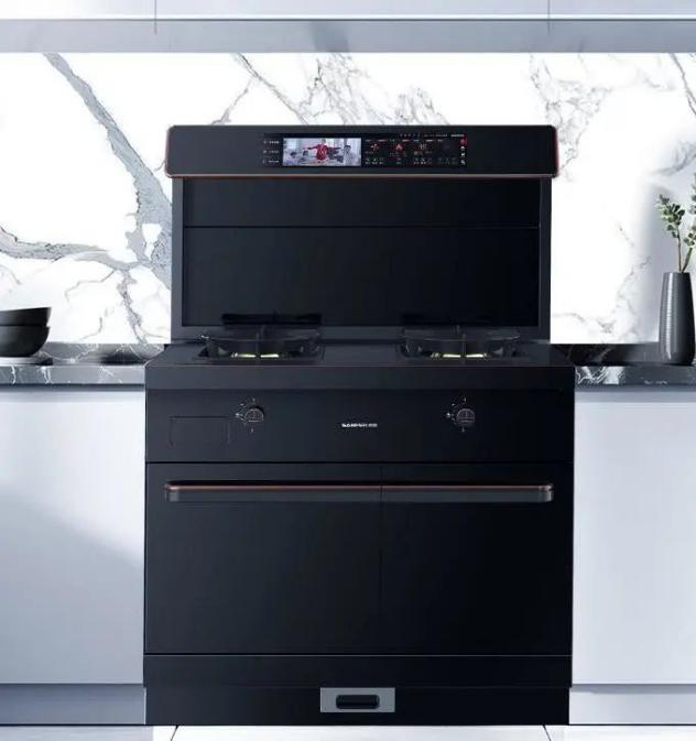 集成灶十大品牌帅丰上市2周年庆活动大曝光