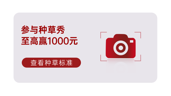 集成灶十大品牌帅丰电器双11即刻出发，狂欢先人一步！！