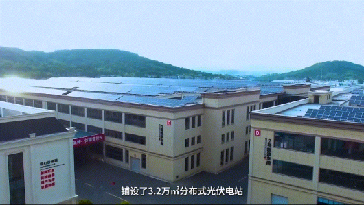 护生态，行低碳，集成灶品牌帅丰在行动！