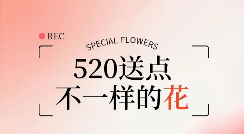  520送点不一样的“花”吧