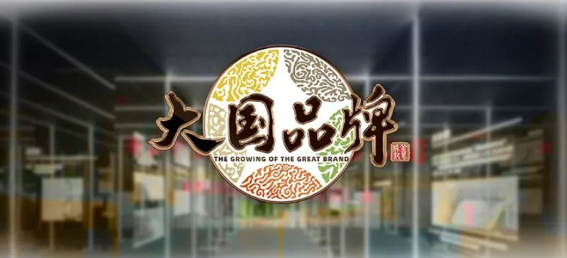 6月“丰”光荣耀前行—帅丰电器6月大事记精彩回顾