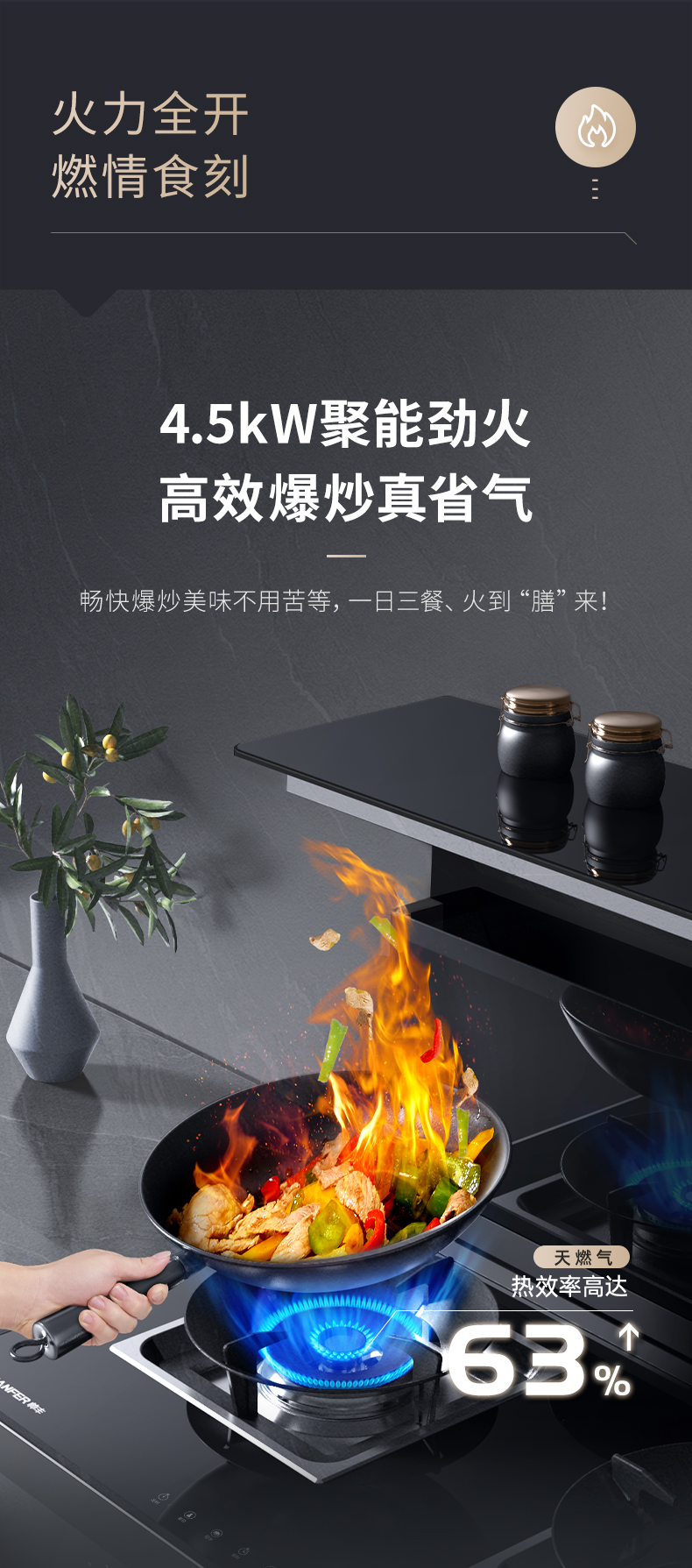 帅丰J2灵耀消毒柜款集成灶