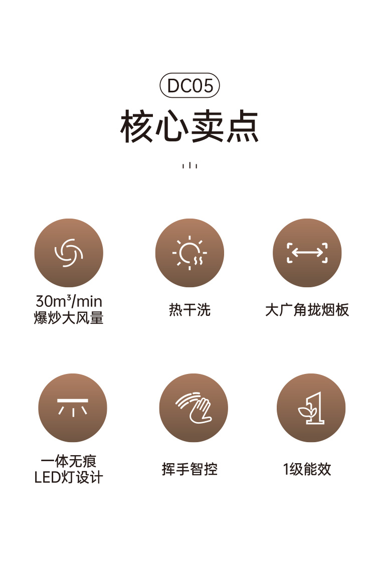 帅丰DC05上排烟机烟机灶具