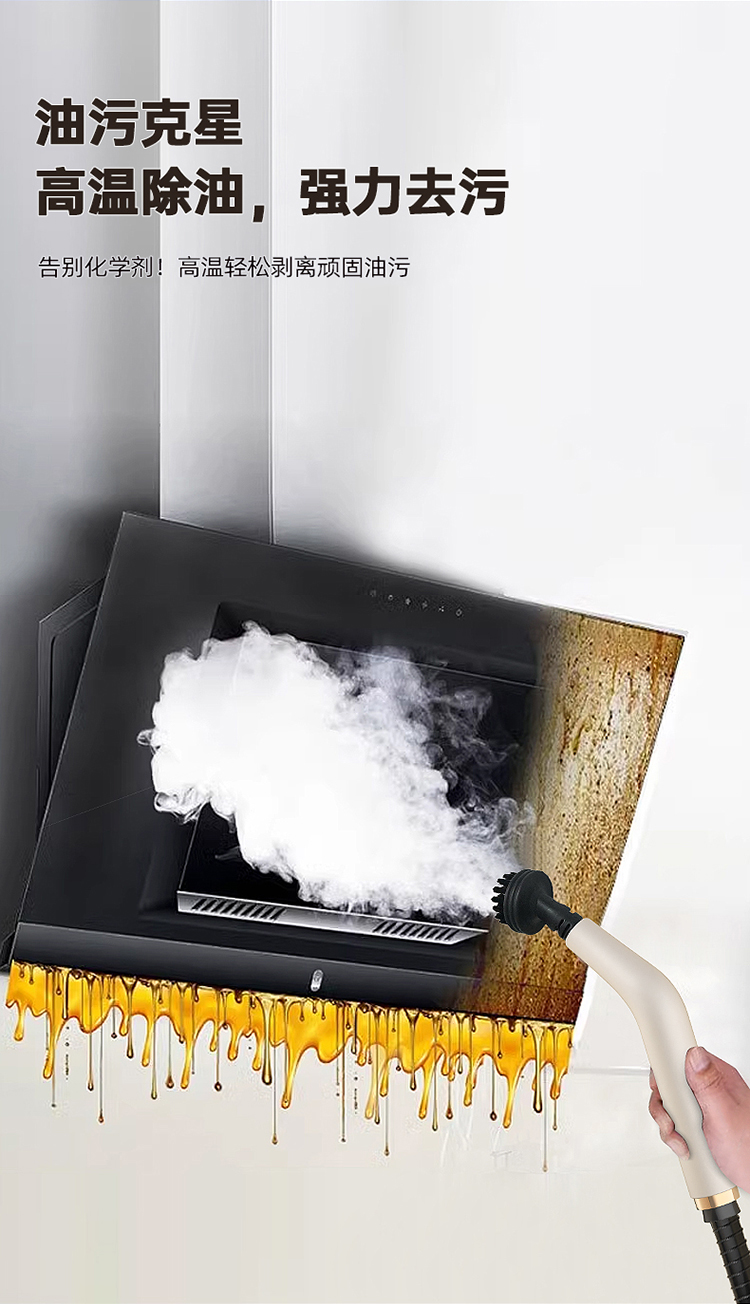 帅丰高温蒸汽清洁机