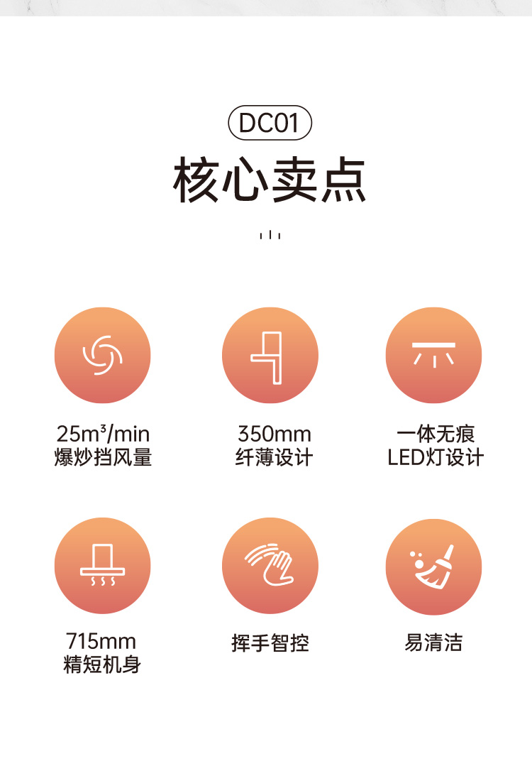 帅丰DC01上排烟机烟机灶具