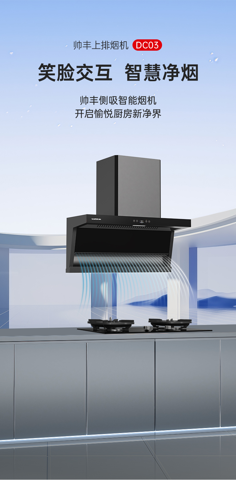 帅丰DC03上排烟机烟机灶具