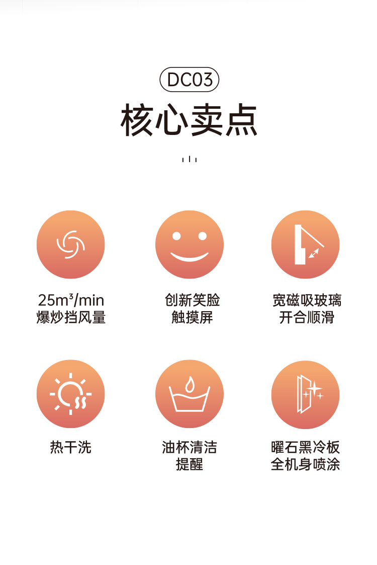 帅丰DC03上排烟机烟机灶具