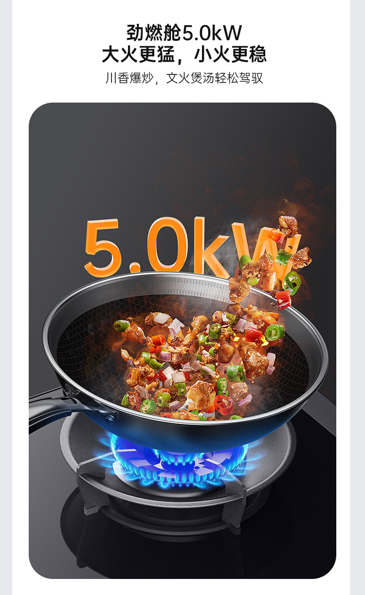 帅丰理想L3蒸烤独立集成灶