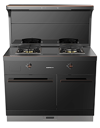 星辰X1双子星蒸烤独立(100)