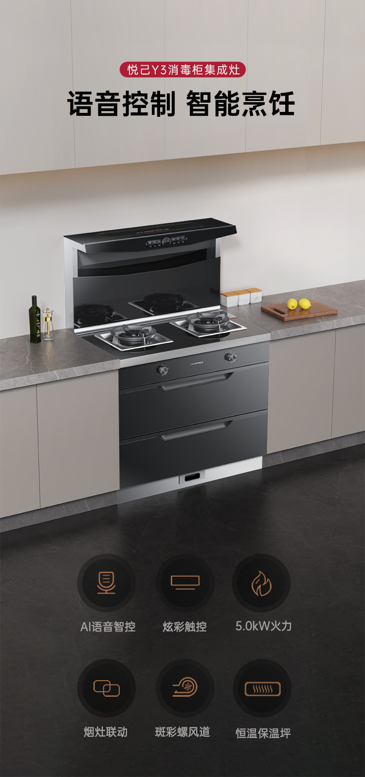 帅丰悦己Y3消毒柜款集成灶