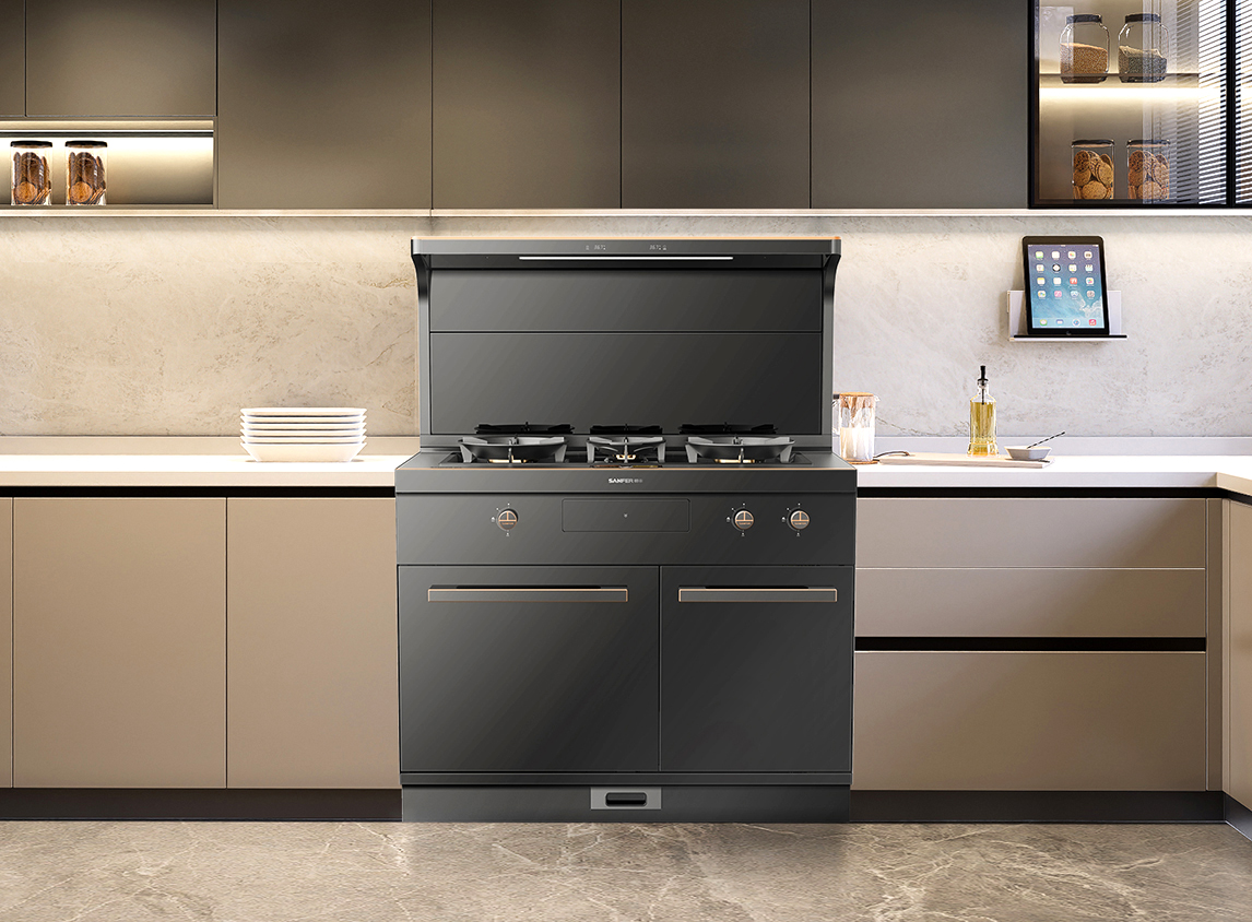 星辰X1双子星蒸烤独立(100Pro)