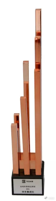 帅丰受邀参加今日头条家居时尚盛典并荣获三项奖项