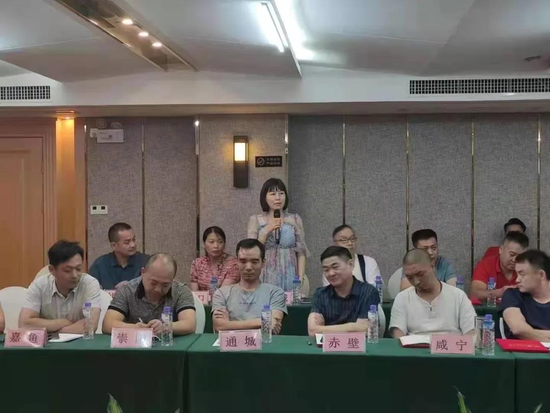 同频齐心,共创共赢|帅丰电器湖北经销商年中座谈会圆满举行 同频齐心,共创共赢|帅丰电器湖北经销商年中座谈会圆满举行