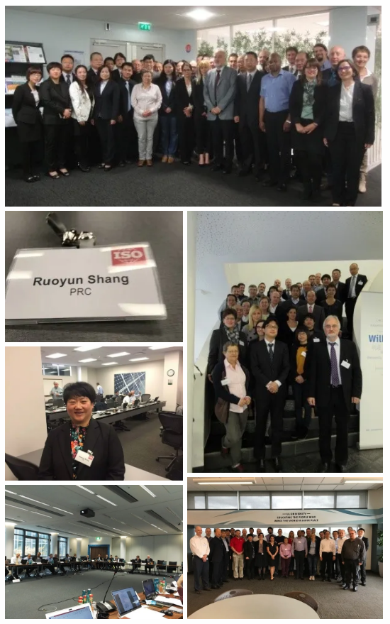 集成灶领军品牌帅丰成首批省级标准国际化试点基地，加入产业国际化步伐