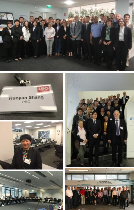 科技创新、标准引领、服务赋能，帅丰集成灶“夺冠”2021新增市场