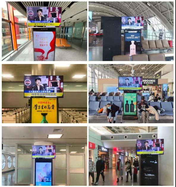 第四届浙江凤凰榜出炉|帅丰电器获评“金凤凰奖年度十大IPO” 第四届浙江凤凰榜出炉|帅丰电器获评“金凤凰奖年度十大IPO”